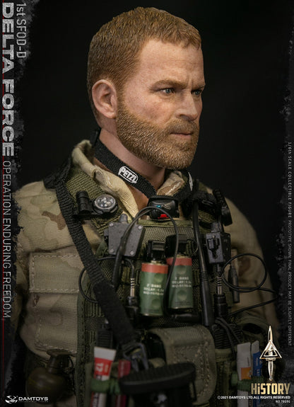 Pedido Figura 1st SFOD-D DELTA FORCE - Operation Enduring Freedom marca Damtoys 78091 escala 1/6