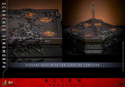 Preventa Figura Scorched Xenomorph - Alien: Romulus marca Hot Toys MMS784 escala 1/6