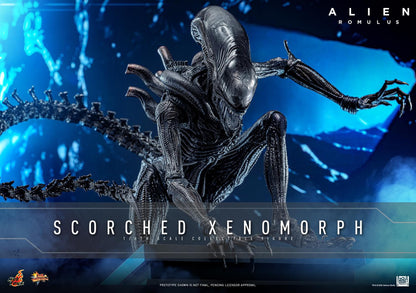 Preventa Figura Scorched Xenomorph - Alien: Romulus marca Hot Toys MMS784 escala 1/6