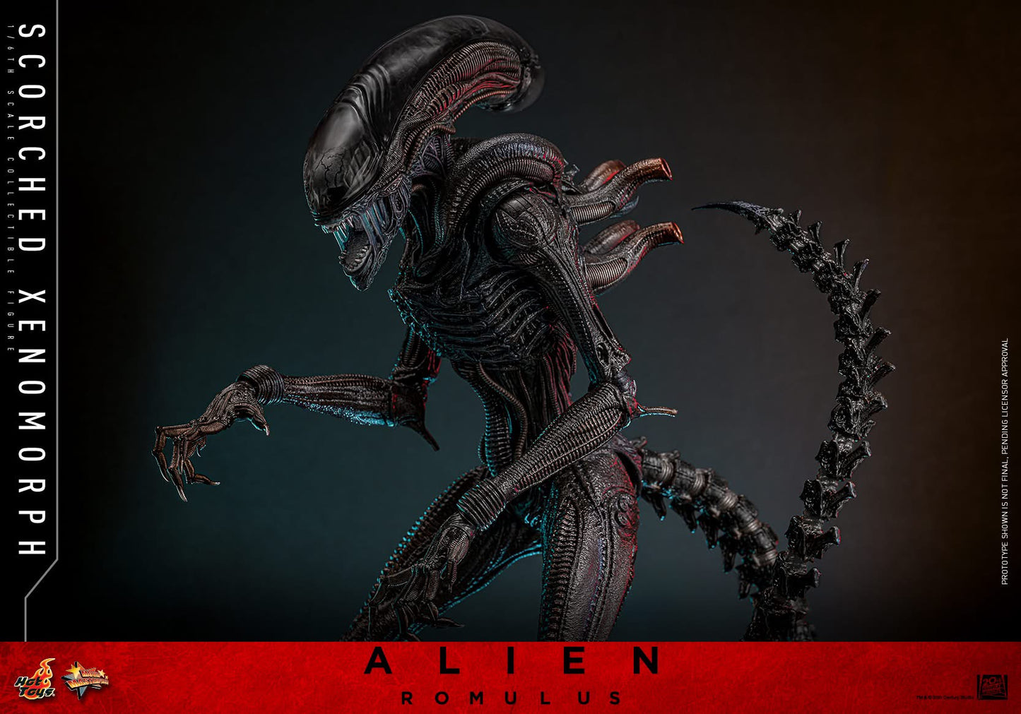 Preventa Figura Scorched Xenomorph - Alien: Romulus marca Hot Toys MMS784 escala 1/6