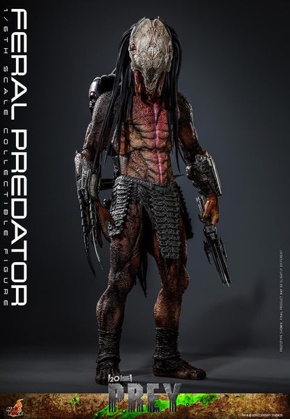 Preventa Figura Feral Predator - Prey marca Hot Toys TMS114 escala 1/6