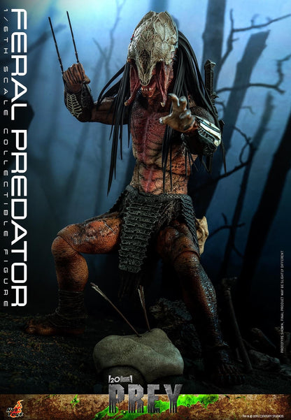 Preventa Figura Feral Predator - Prey marca Hot Toys TMS114 escala 1/6