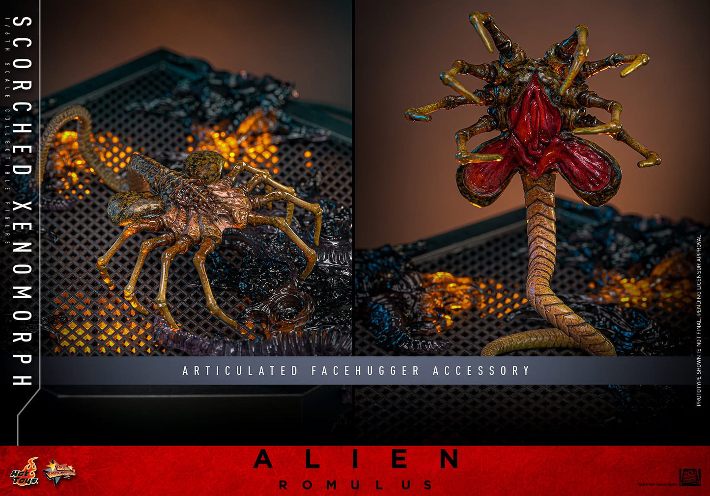 Preventa Figura Scorched Xenomorph - Alien: Romulus marca Hot Toys MMS784 escala 1/6