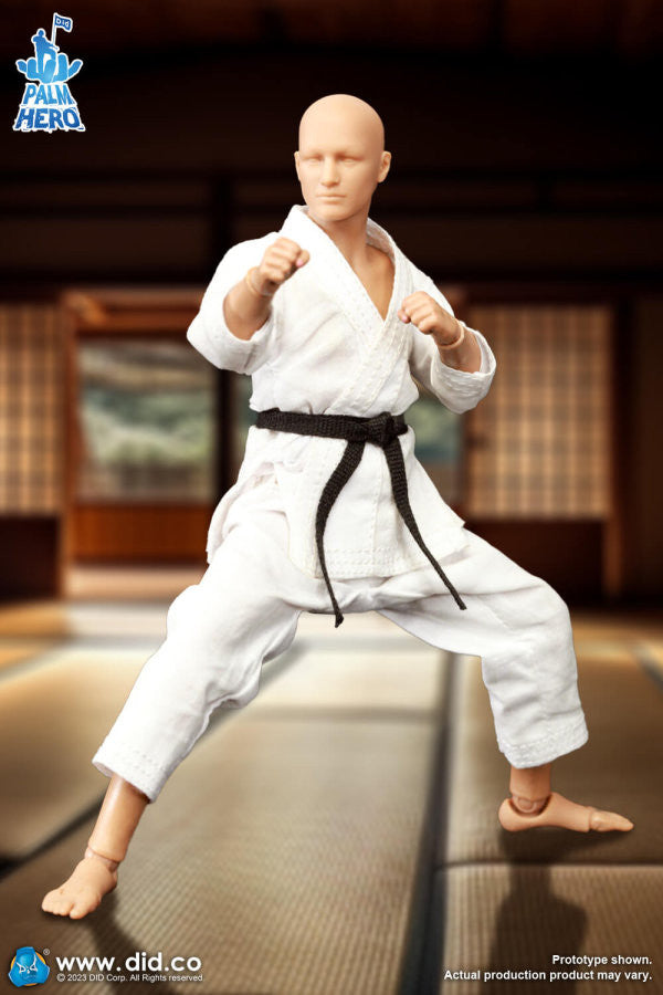 Pedido Figura The Karate Player - Simple Fun Series marca DID SF80001 escala pequeña 1/12