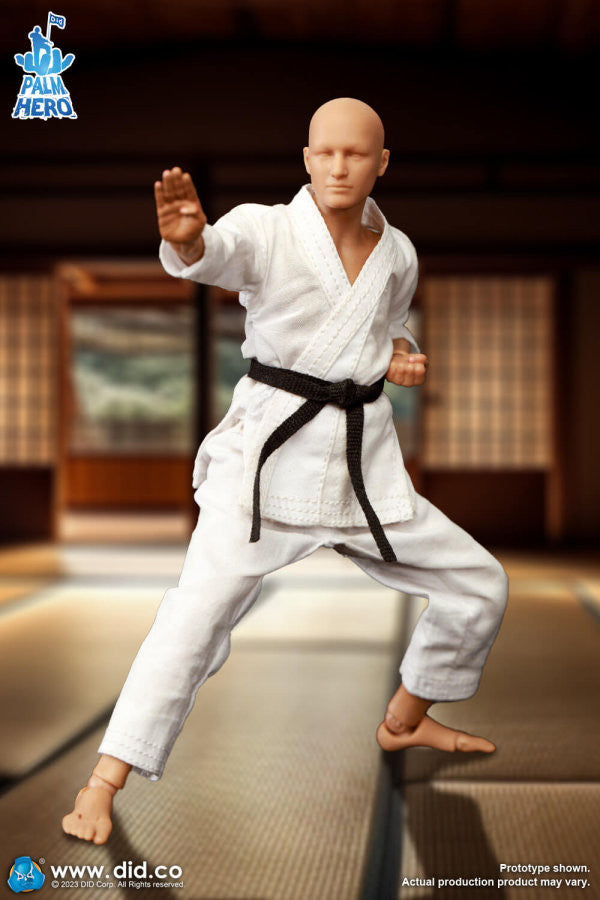 Pedido Figura The Karate Player - Simple Fun Series marca DID SF80001 escala pequeña 1/12