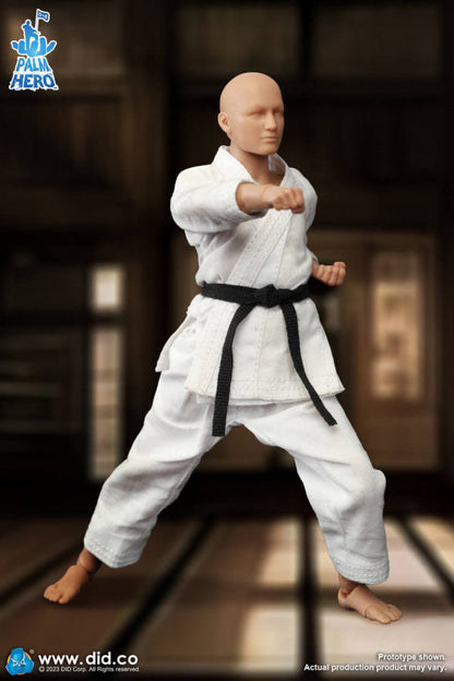 Pedido Figura The Karate Player - Simple Fun Series marca DID SF80001 escala pequeña 1/12