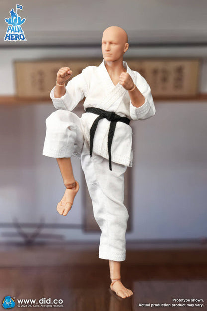 Pedido Figura The Karate Player - Simple Fun Series marca DID SF80001 escala pequeña 1/12