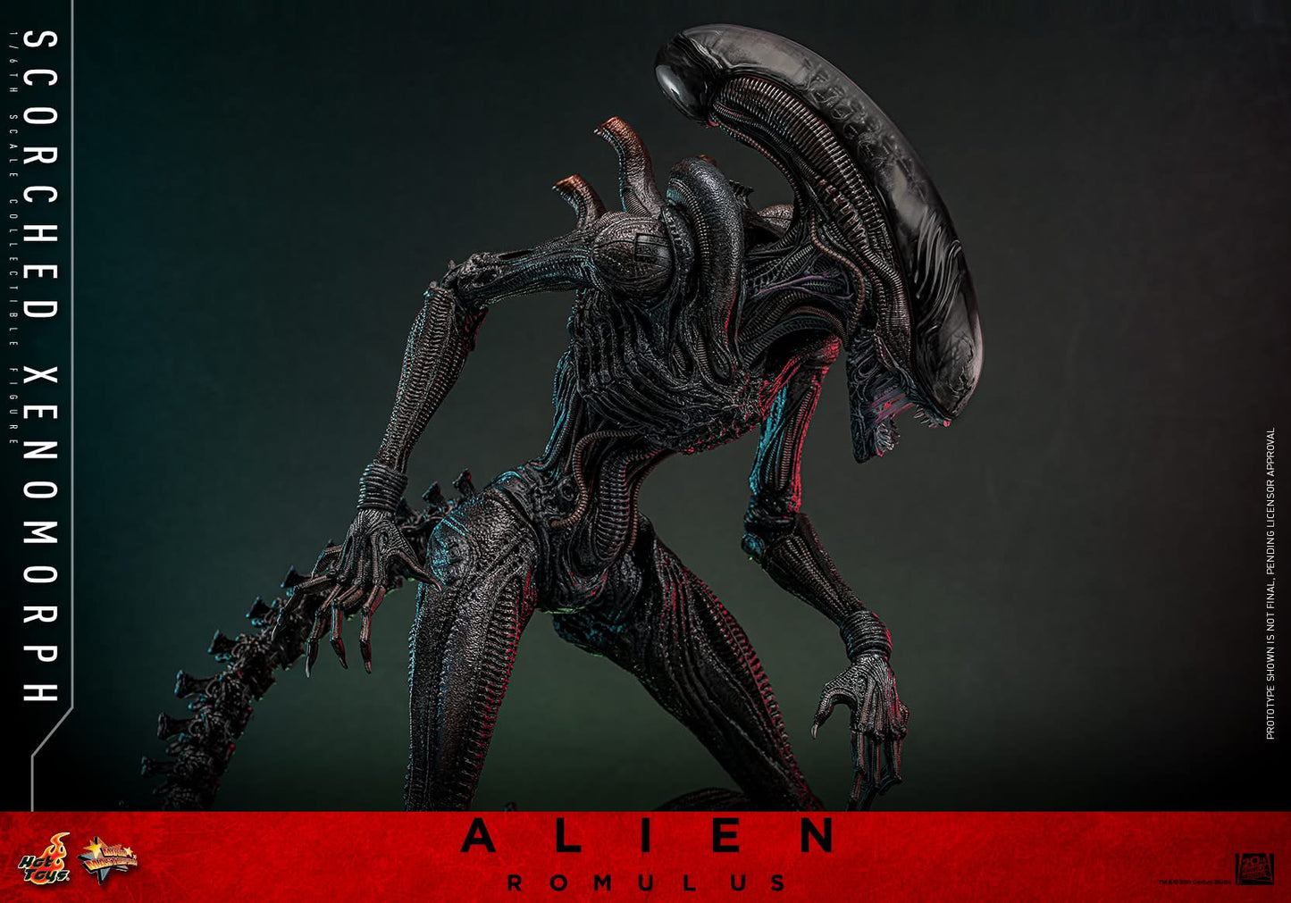 Preventa Figura Scorched Xenomorph - Alien: Romulus marca Hot Toys MMS784 escala 1/6