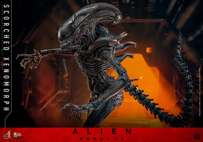 Preventa Figura Scorched Xenomorph - Alien: Romulus marca Hot Toys MMS784 escala 1/6