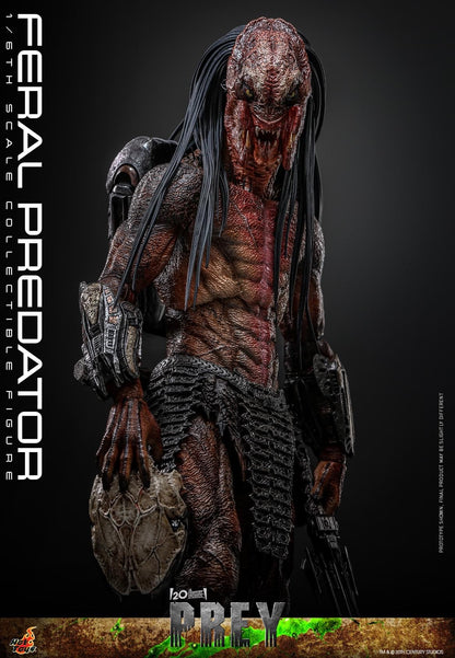 Preventa Figura Feral Predator - Prey marca Hot Toys TMS114 escala 1/6