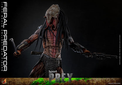 Preventa Figura Feral Predator - Prey marca Hot Toys TMS114 escala 1/6