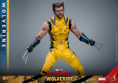 Preventa Figura Wolverine (Deluxe version) - Deadpool & Wolverine marca Hot Toys MMS754 escala 1/6