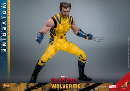 Preventa Figura Wolverine (Deluxe version) - Deadpool & Wolverine marca Hot Toys MMS754 escala 1/6