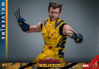 Preventa Figura Wolverine (Deluxe version) - Deadpool & Wolverine marca Hot Toys MMS754 escala 1/6