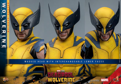 Preventa Figura Wolverine (Deluxe version) - Deadpool & Wolverine marca Hot Toys MMS754 escala 1/6