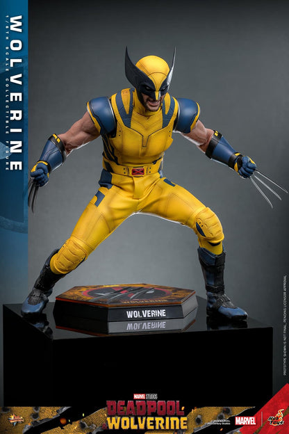 Preventa Figura Wolverine - Deadpool & Wolverine marca Hot Toys MMS753 escala 1/6