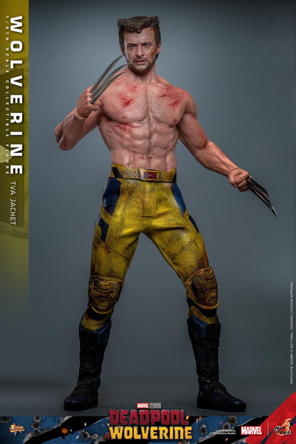 Preventa Figura Wolverine (TVA Jacket version) - Deadpool & Wolverine marca Hot Toys MMS756 escala 1/6