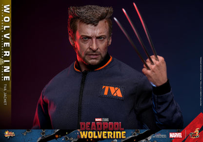 Preventa Figura Wolverine (TVA Jacket version) - Deadpool & Wolverine marca Hot Toys MMS756 escala 1/6