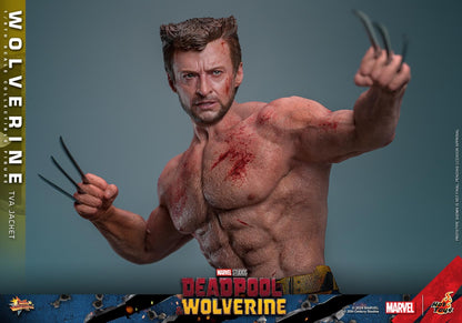 Preventa Figura Wolverine (TVA Jacket version) - Deadpool & Wolverine marca Hot Toys MMS756 escala 1/6