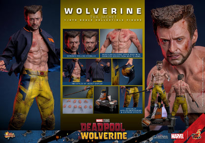 Preventa Figura Wolverine (TVA Jacket version) - Deadpool & Wolverine marca Hot Toys MMS756 escala 1/6