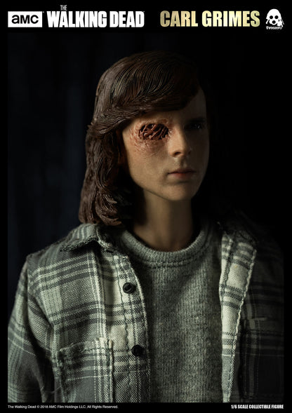 Pedido Figura Carl Grimes (Deluxe Version) - The Walking Dead marca Threezero 3Z0062DV escala 1/6