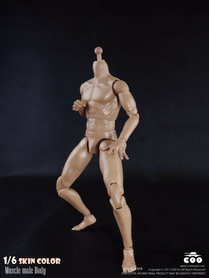 [PEDIDO] Cuerpo articulado masculino (2 versiones) marca Coo Model escala 1/6